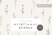 WILDFLOWER ILLUSTRATION / png, an Illustration by KruthDesign (Thumbnail 1 of 4)