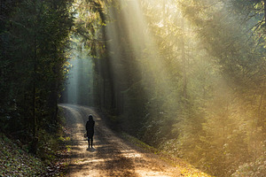 Girl in sun rays walking with beagle containing austria, beagle, and day, a Nature Photo by MadPhotos