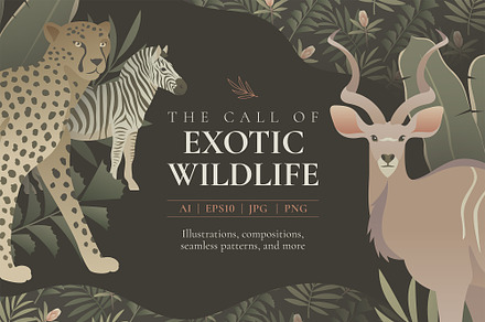 Exotic Wildlife Illustrations
