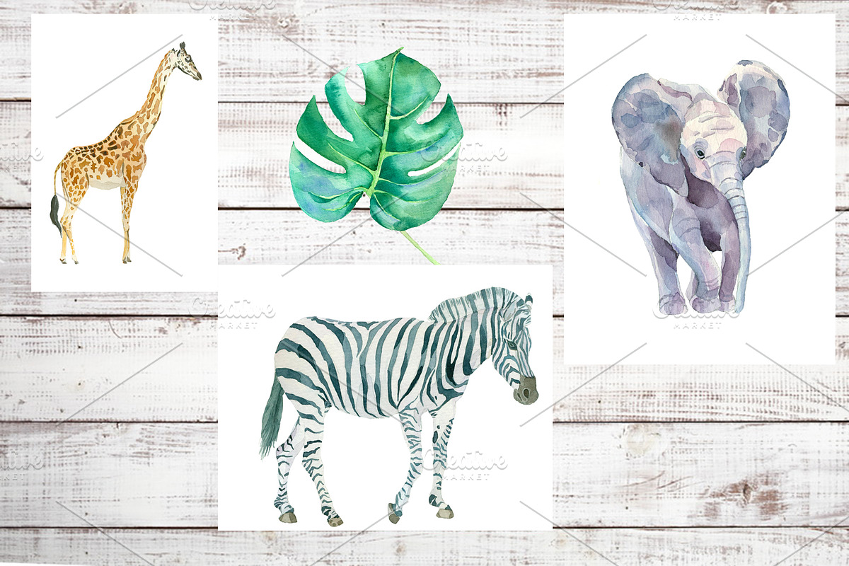 Watercolor animals, leafs, birds, an Animal Illustration by Watercolor arts (Photo 4 of 6)