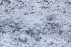 Snow_4