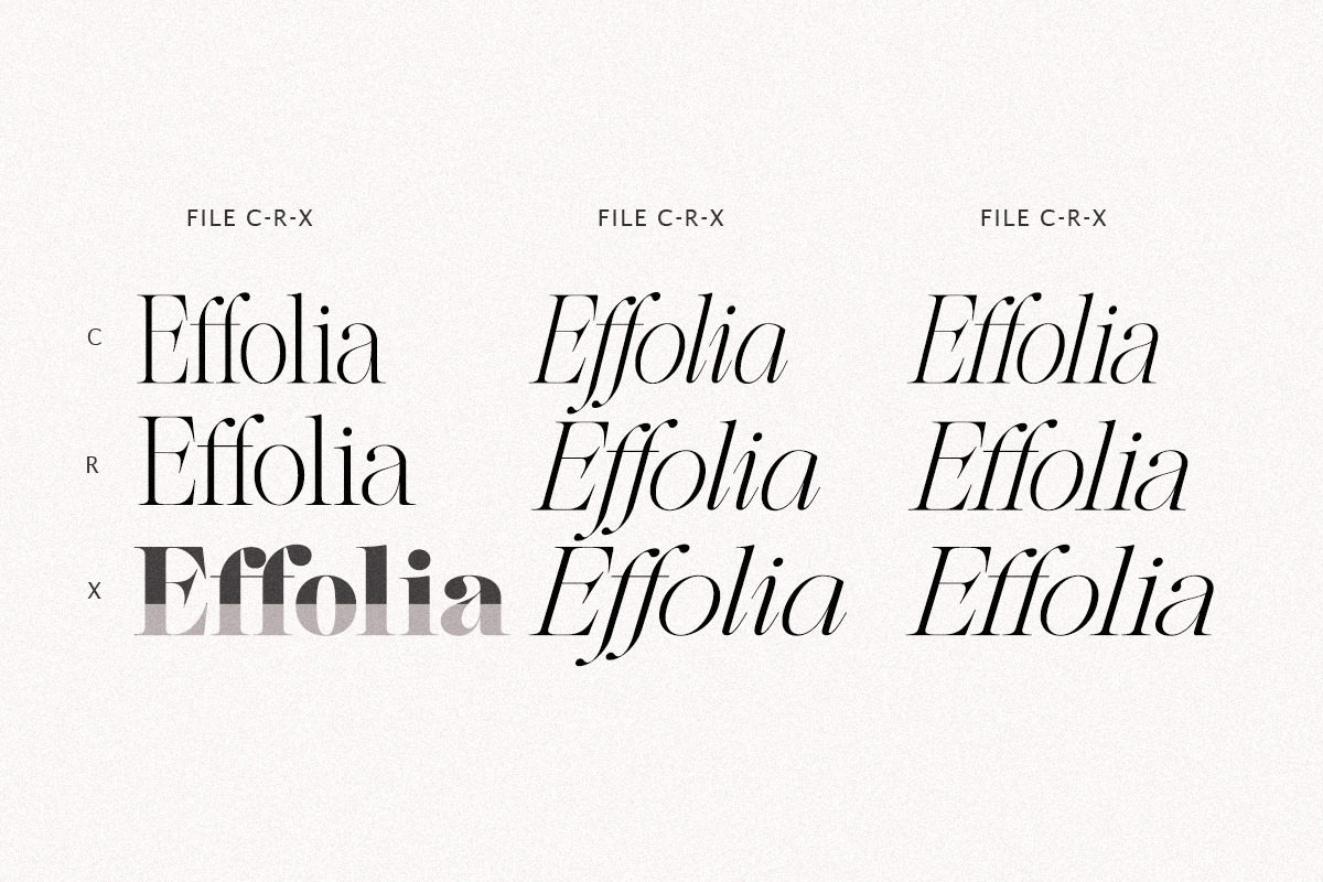 The Effolia | 9-Weight Classy Family, a Serif Font by Pista Mova (Photo 3 of 31)