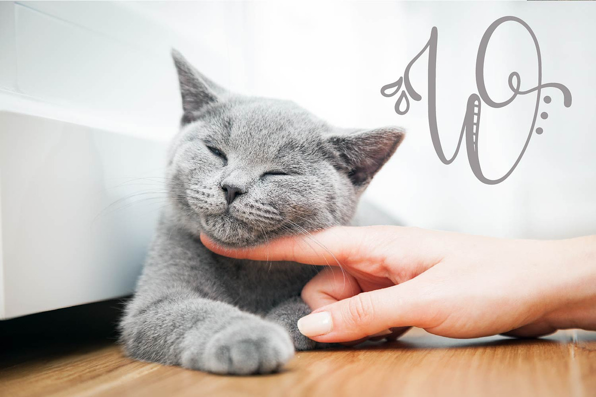 Monogram Font & Doodle Alternatives preview 2