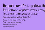 Gage EXO Elegant Display Font, a Sans Serif Font by Casloop Studio (Thumbnail 4 of 9)