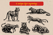 Tigers poses engraving, an Object Illustration by Arthur Balitskiy (Thumbnail 2 of 5)