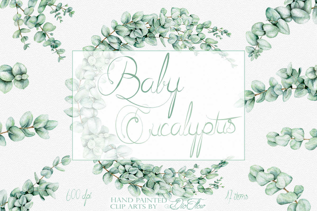 Baby Eucalyptus Illustration, a Decorative Illustration by DioFlow (Photo 1 of 6)