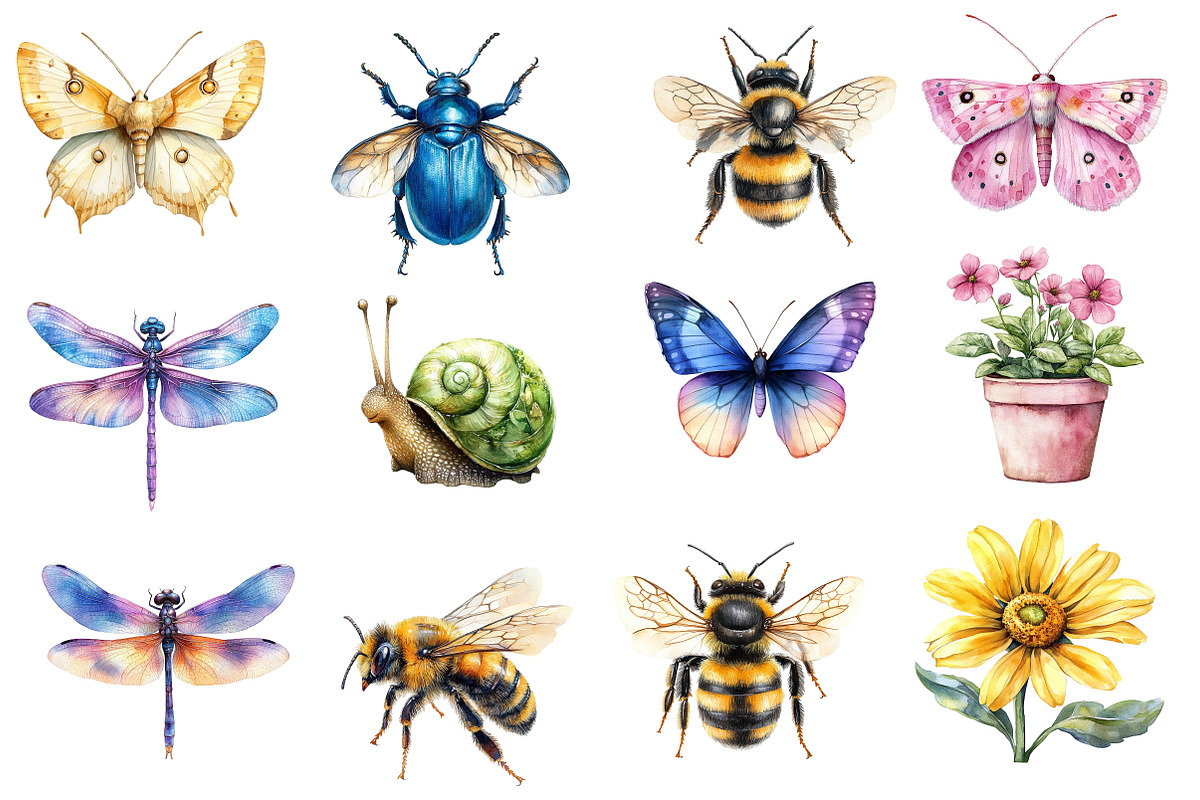 Cute Insects Clipart, an Illustration by Designworld (Photo 2 of 5)