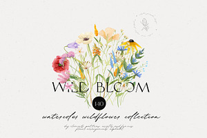 Watercolor Wildflowers Collection