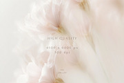 Ethereal Floral Backgrounds Bundle, an Abstract Photo by Allure Art (Thumbnail 4 of 26)