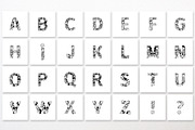 Batik Ornaments Alphabet, a Symbol Font by ilonitta (Thumbnail 2 of 6)