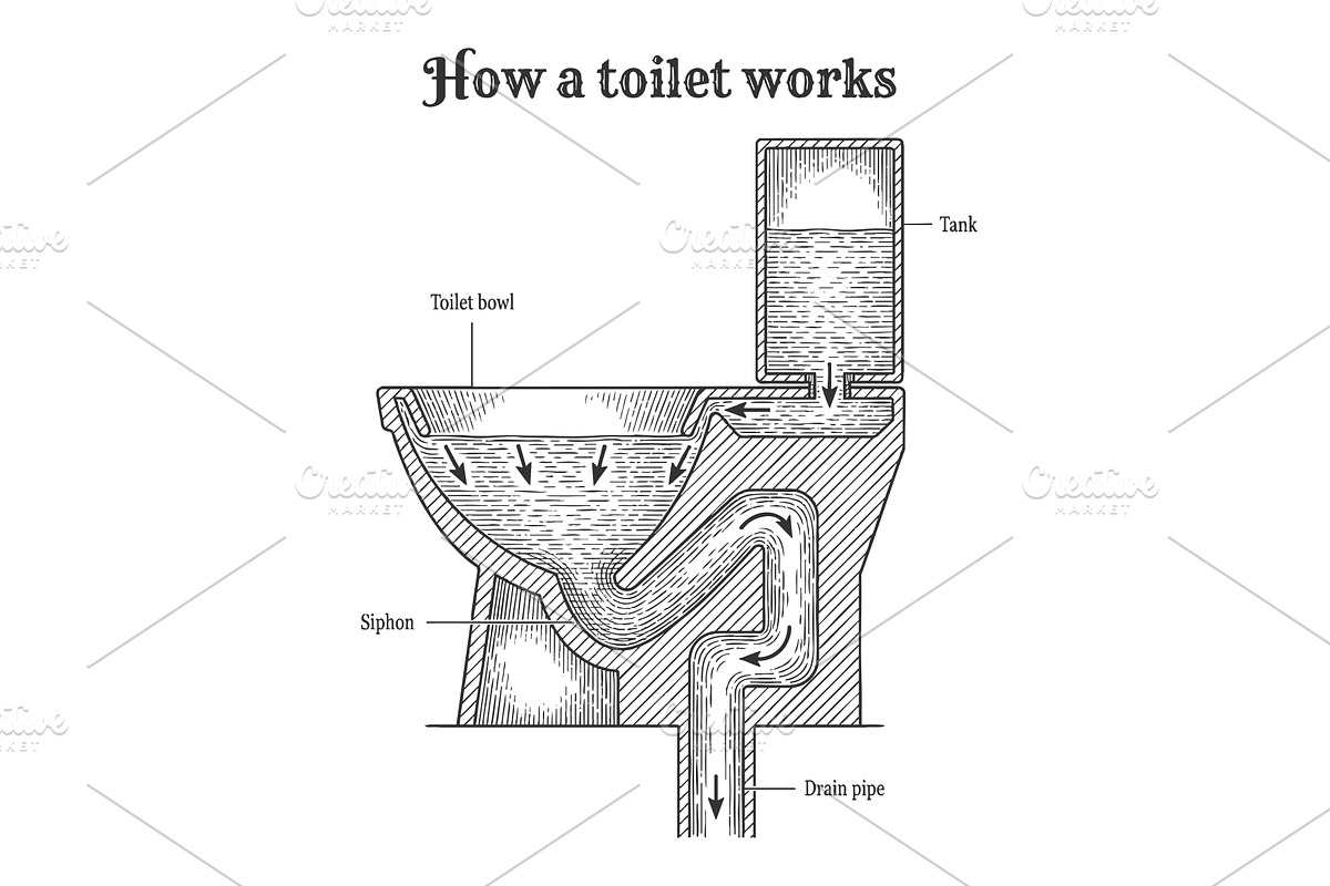 Vintage Diagram Explaining How a, an Illustration by AlexArt