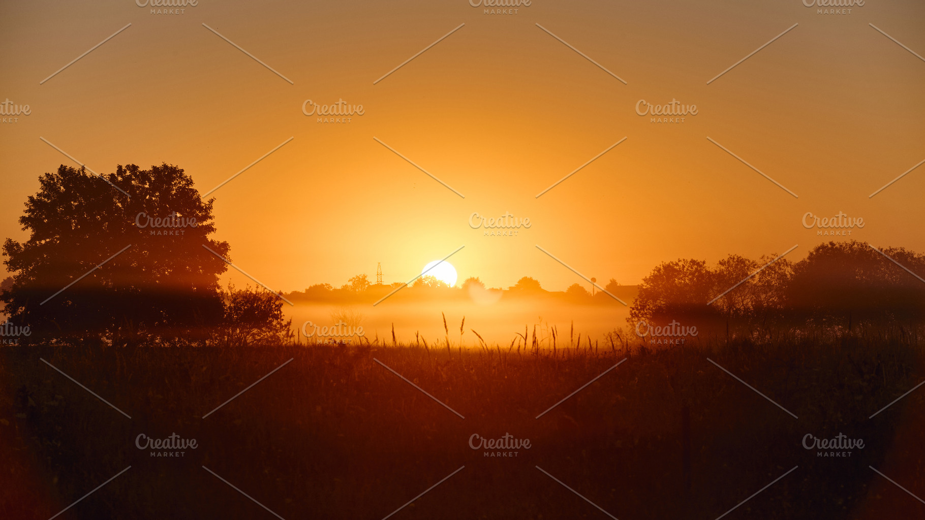 Bright sun rising over misty field with tree silhouettes at dawn. Golden sunris, a Nature Photo by Rohan Photography