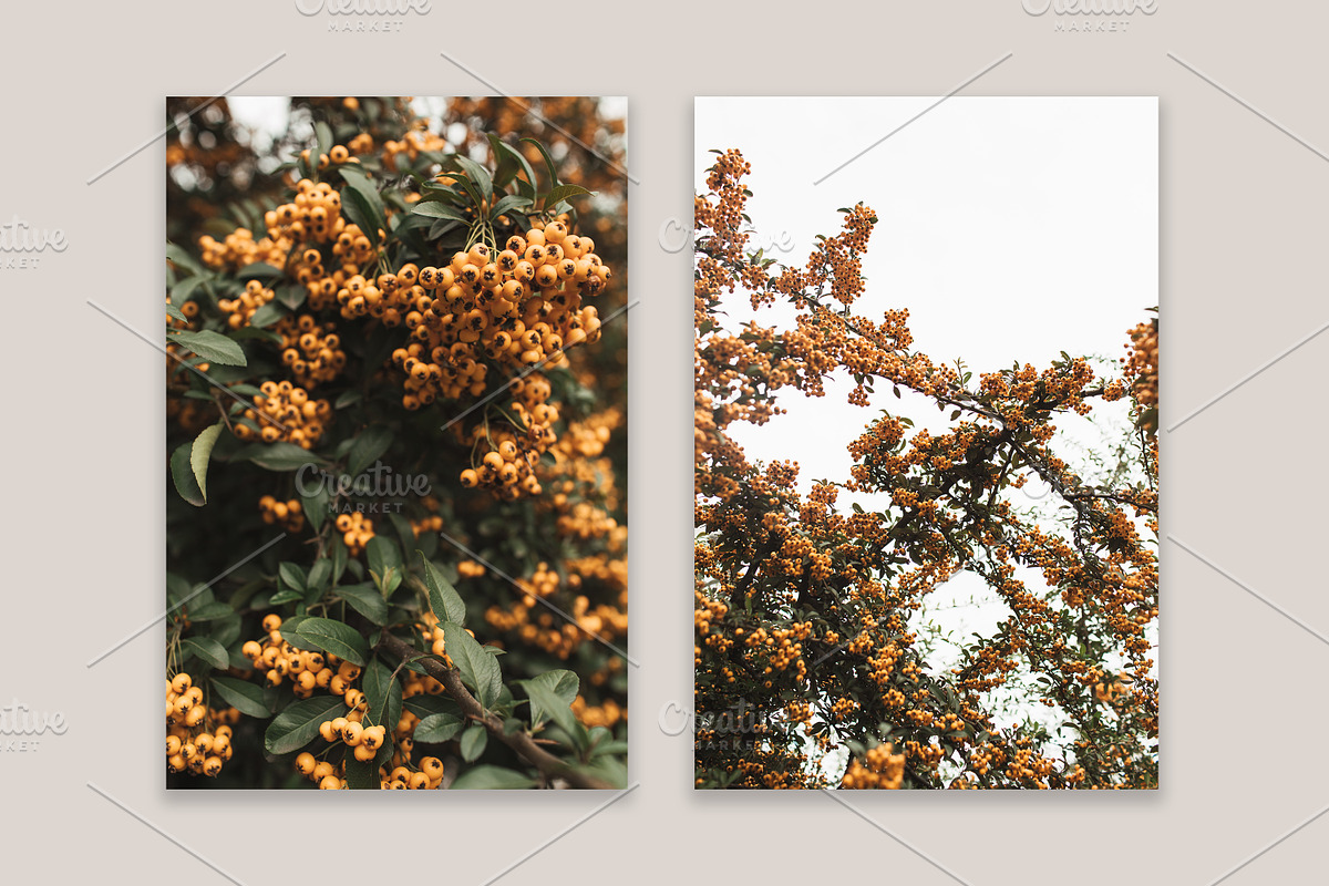 Fall Collection 3, a Beauty & Fashion Photo by Floral Deco (Photo 8 of 8)