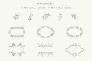 Hand Drawn Floral Elements. Frames, a Seasonal Illustration by Designwork (Thumbnail 22 of 22)