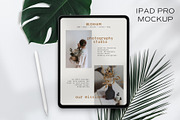 Monstera Palm Leaf - iPad Pro Mockup, a Books & Magazine Mockup by 89 Golden Blvd (Thumbnail 1 of 4)