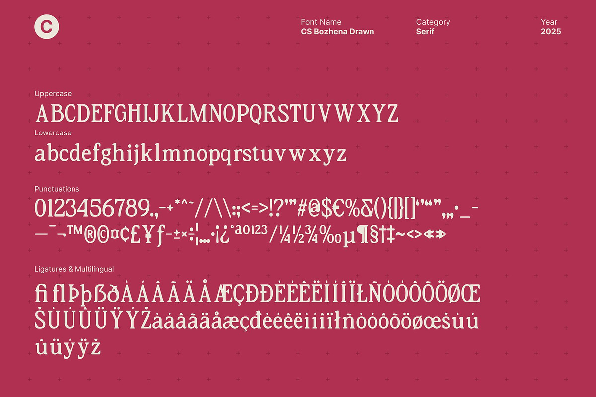 CS Bozhena Drawn, a Serif Font by Craft Supply Co. (Photo 8 of 8)