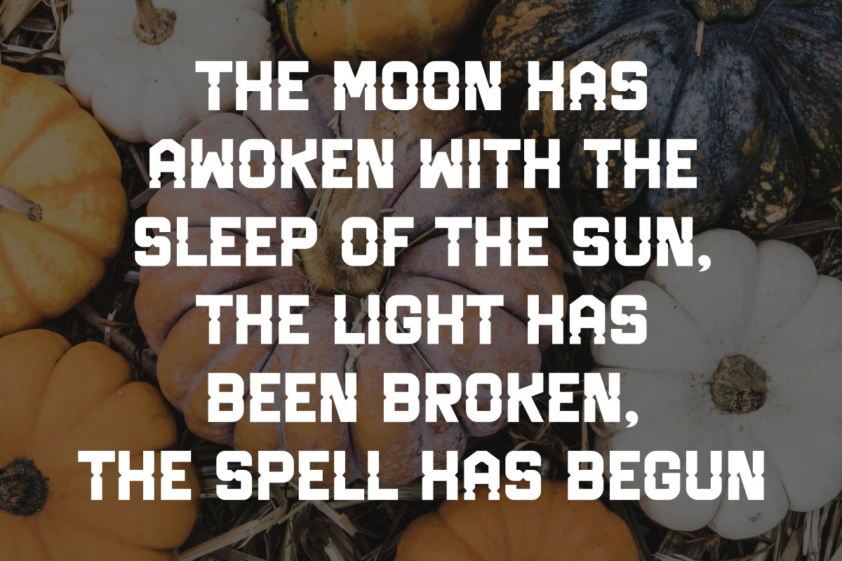 Vintage Pumpkin - Modern Quirky Font, a Sans Serif Font by Pian45 Studio (Photo 2 of 10)