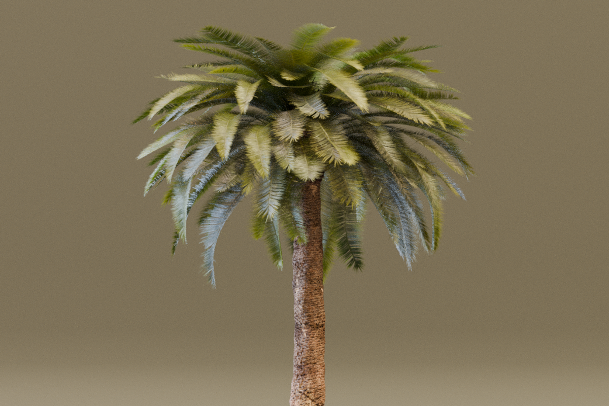 The Date Palm Tree, a Plants & Tree 3D Model by FuturePastCreatives (Photo 4 of 6)