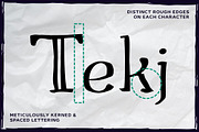 Booksworth - A Sketchbook Font, a Handwritten Font by Parker Creative (Thumbnail 7 of 8)