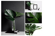 Monstera photo bundle, a Product Mockup by KateAedon (Thumbnail 4 of 4)