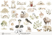 85 forest animal clip art, an Animal Illustration by Poppy Lane Studio (Thumbnail 7 of 10)