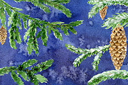 Conifer Branches Watercolor clipart, a Decorative Illustration by AqwaColor (Thumbnail 3 of 3)