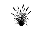 Floral Ornament Silhouette Bundle, an Illustration by BIPLOB EXPERT (Thumbnail 21 of 51)
