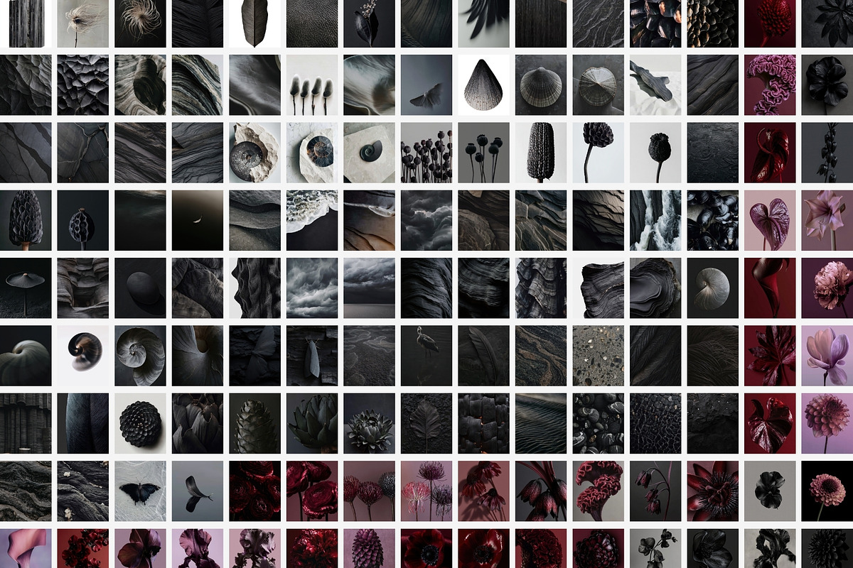 Dark Floral & Mineral Stock Photos, a Nature Photo by Tale.Haus (Photo 13 of 17)