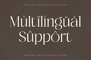 Adogare Modern Serif Font, a Serif Font by Storytype Studio (Thumbnail 12 of 15)