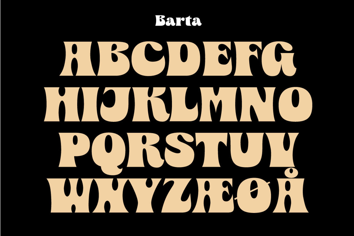 Barta, a Serif Font by Jan-Christian Bruun (Photo 10 of 12)