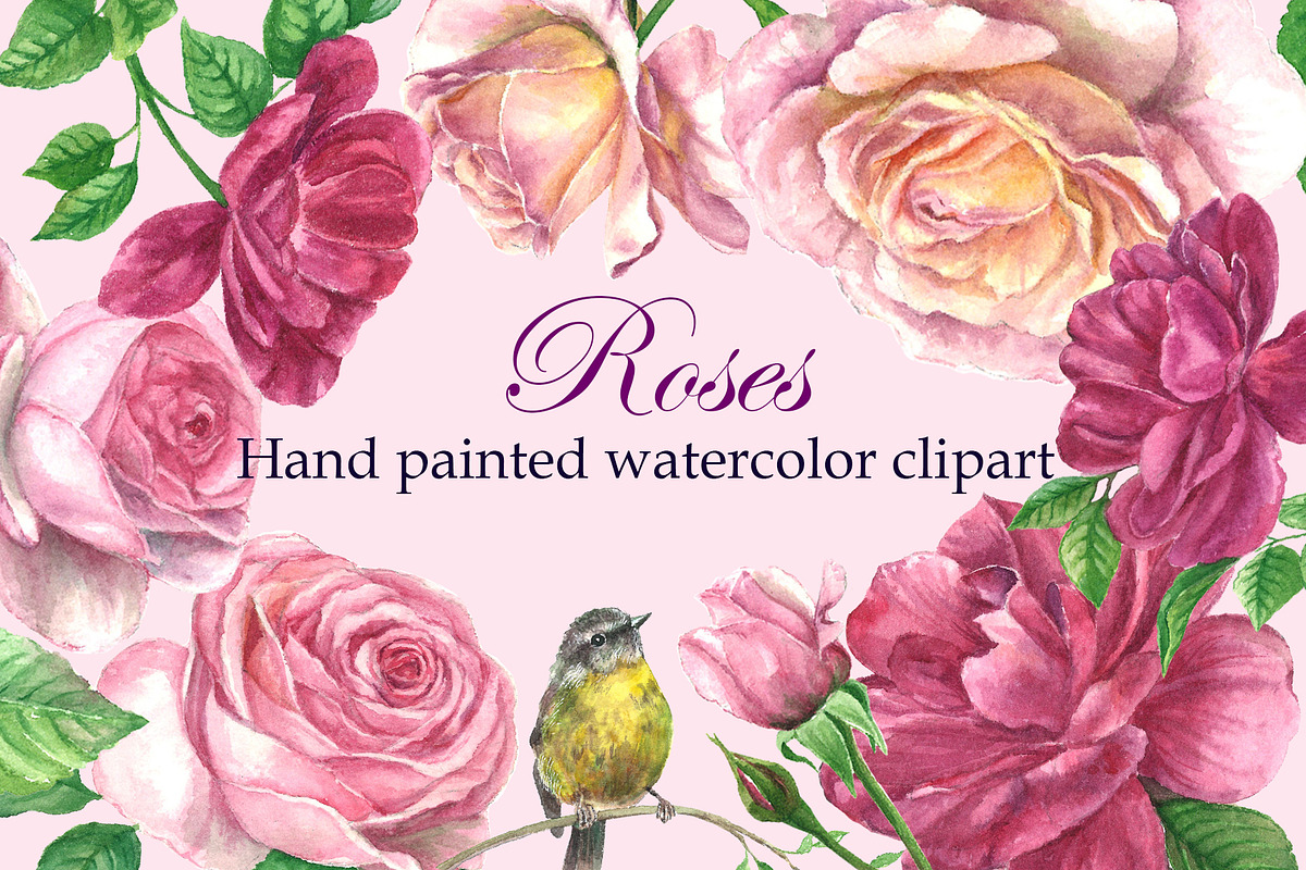 Roses@Bird Watercolor Clipart, a Decorative Illustration by IrStepShop (Photo 1 of 5)