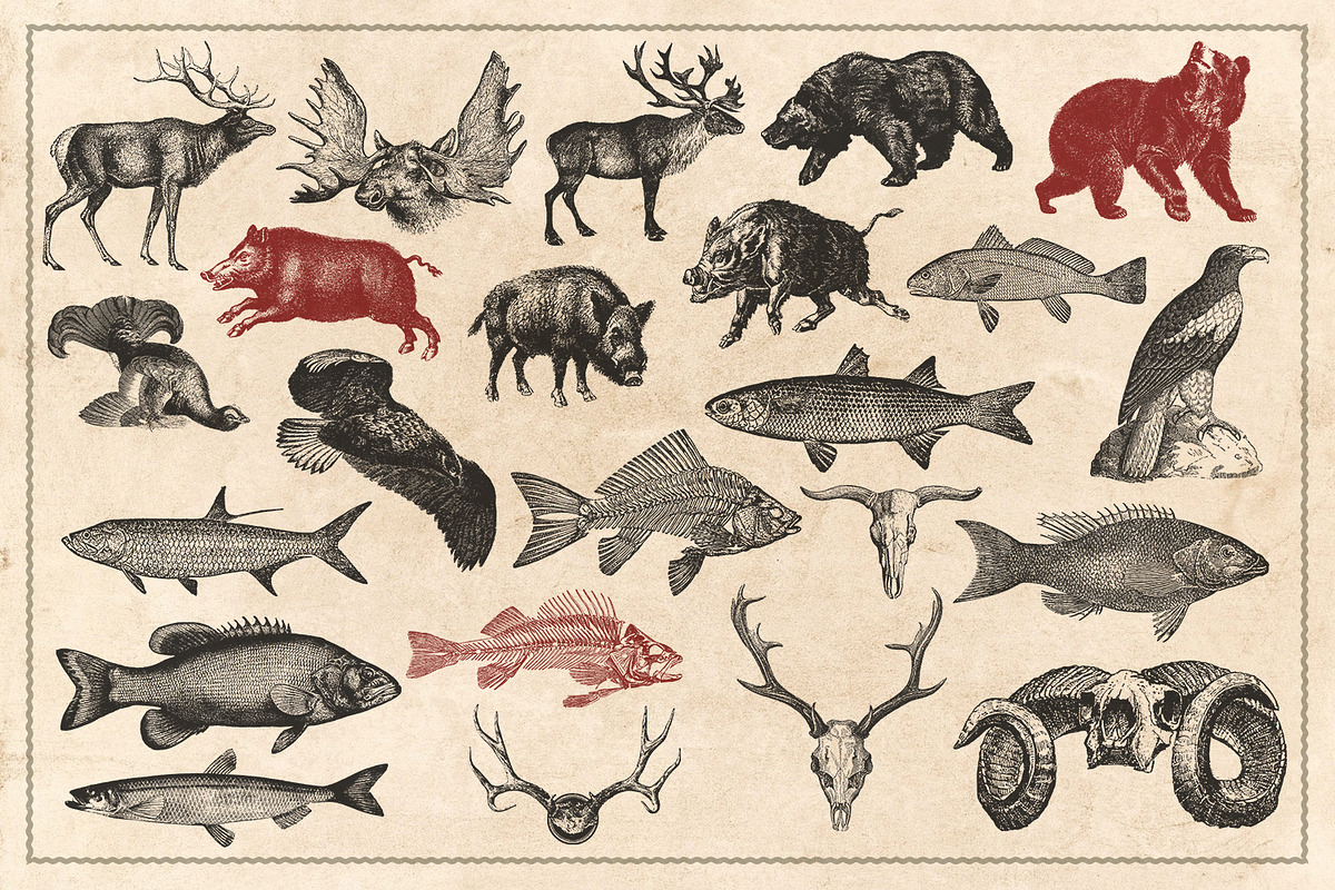 150 Vintage Hunting/Fishing Vectors, an Animal Illustration by Brigantine Designs (Photo 7 of 8)
