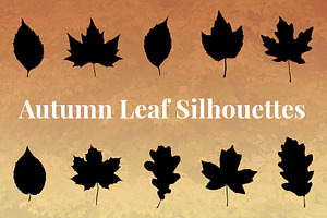Autumn Leaf Silhouettes + Bonus