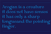 Ralagowr, a Serif Font by Portion.Labs (Thumbnail 10 of 10)