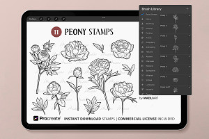 Peony Flower Procreate Brush Stamps