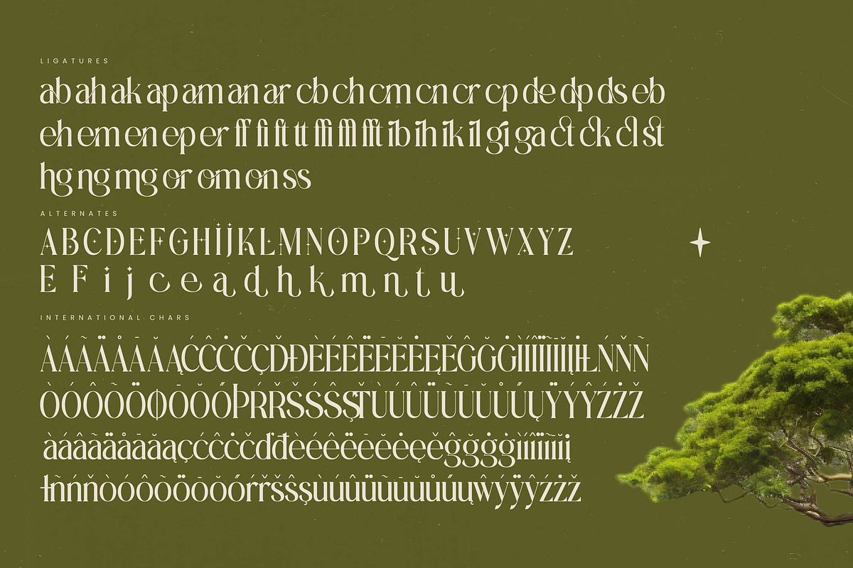 Eternalo Bold Luxury Modern Serif, a Serif Font by timelesstype.co (Photo 19 of 20)