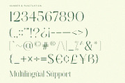 Grass - Serif Font, a Serif Font by Alpaprana (Thumbnail 9 of 10)