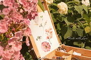 Watercolor Garden Flowers, a Decorative Illustration by Lisima (Thumbnail 24 of 25)