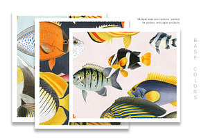 Pez, Exotic Fish Patterns & Motifs