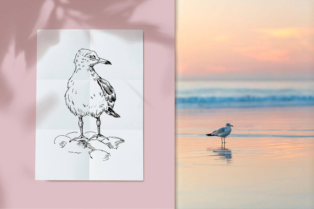 Sea gull. Hand-drawn sketch, an Illustration by Canatic (Photo 2 of 5)