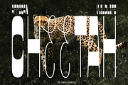 JT Bloore | Heading Font, a Sans Serif Font by Jolicia Type (Thumbnail 12 of 13)