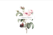 Enamor, Elegant & Subtle, a Pattern Graphic by Pink Linen (Thumbnail 2 of 6)