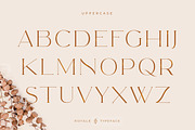 Royale Luxurious Typeface + LOGOS, a Serif Font by Creative Corner (Thumbnail 23 of 28)