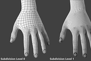 Stylized Female 01 T-Pose Base Mesh, a Characters & Person 3D Model by VK Studio (Thumbnail 23 of 28)