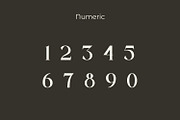 Bloofiqt, a Serif Font by Rishsketch (Thumbnail 10 of 13)
