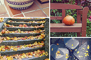 Autumn photo pack, a Nature Photo by BOOCYS (Thumbnail 2 of 2)