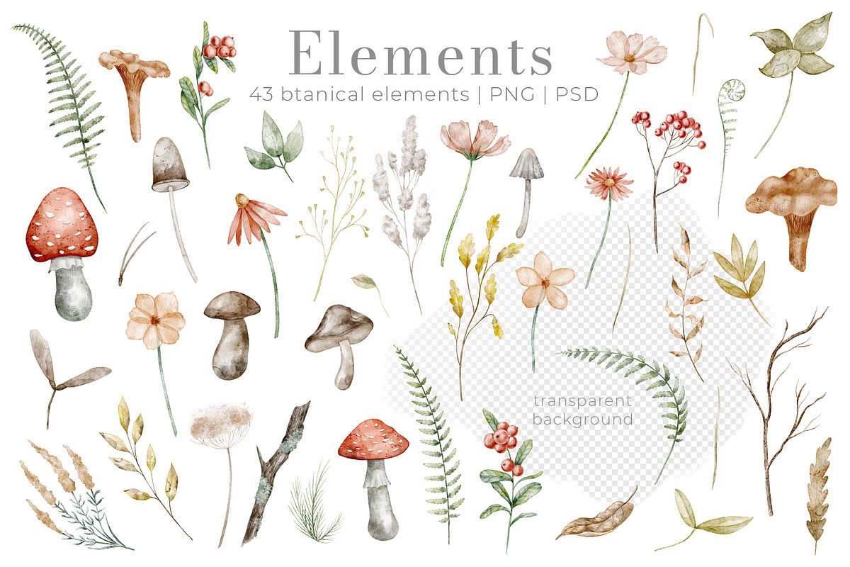 Woodland Animals Watercolor Clipart, an Illustration by Alisles (Photo 5 of 18)