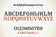Alaska - Art Nouveau pixel art, a Serif Font by SelfBuild Type (Thumbnail 11 of 11)