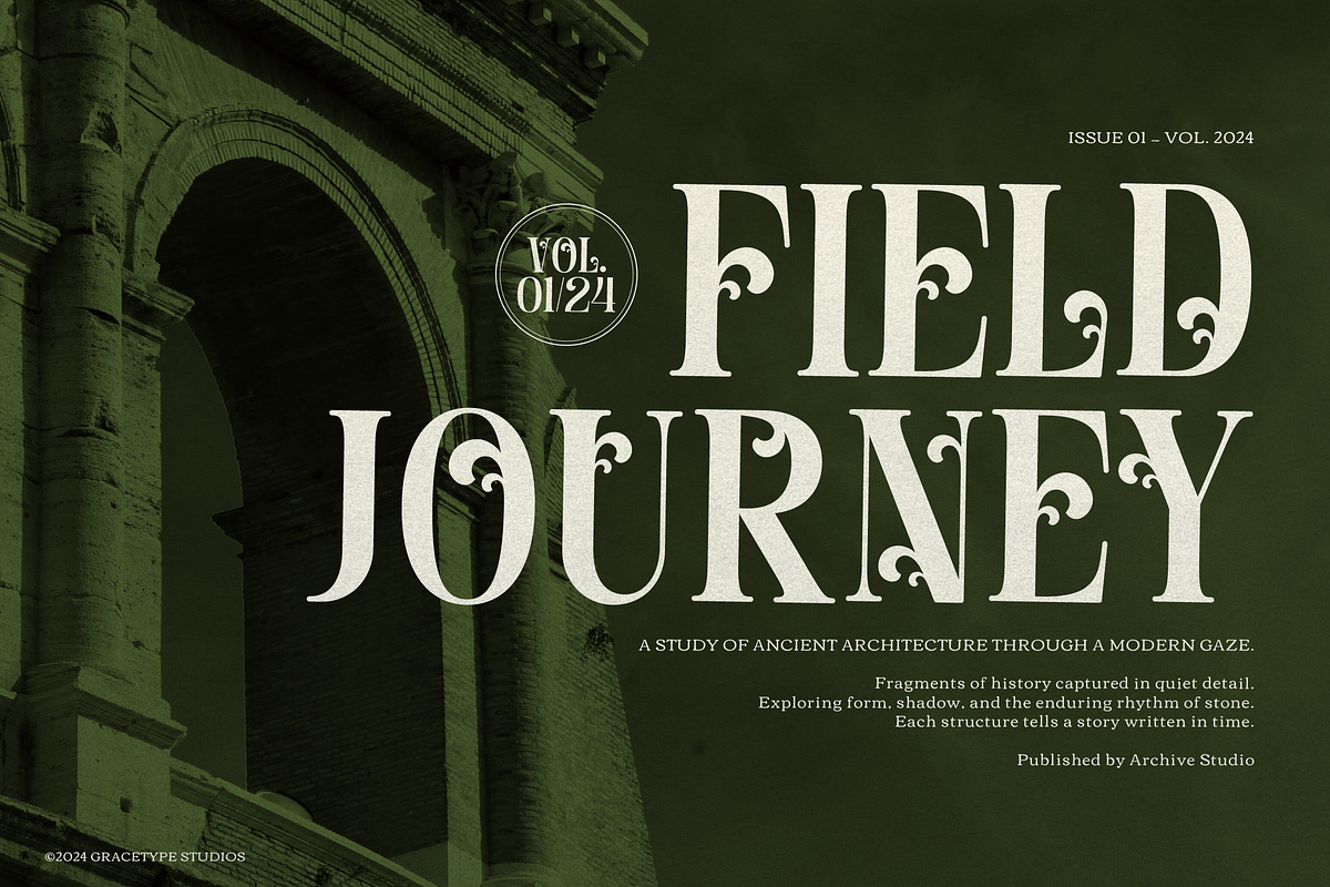 Davenor | Display Serif Font, a Serif Font by gracetype_studio (Photo 2 of 11)