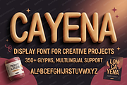Cayena - Modern Serif, a Serif Font by Astuti Studio (Thumbnail 22 of 25)